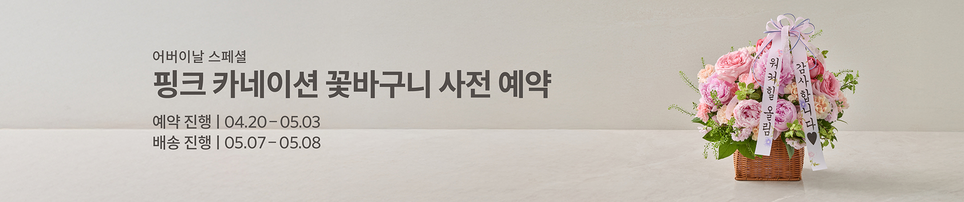 블루밍 카네이션