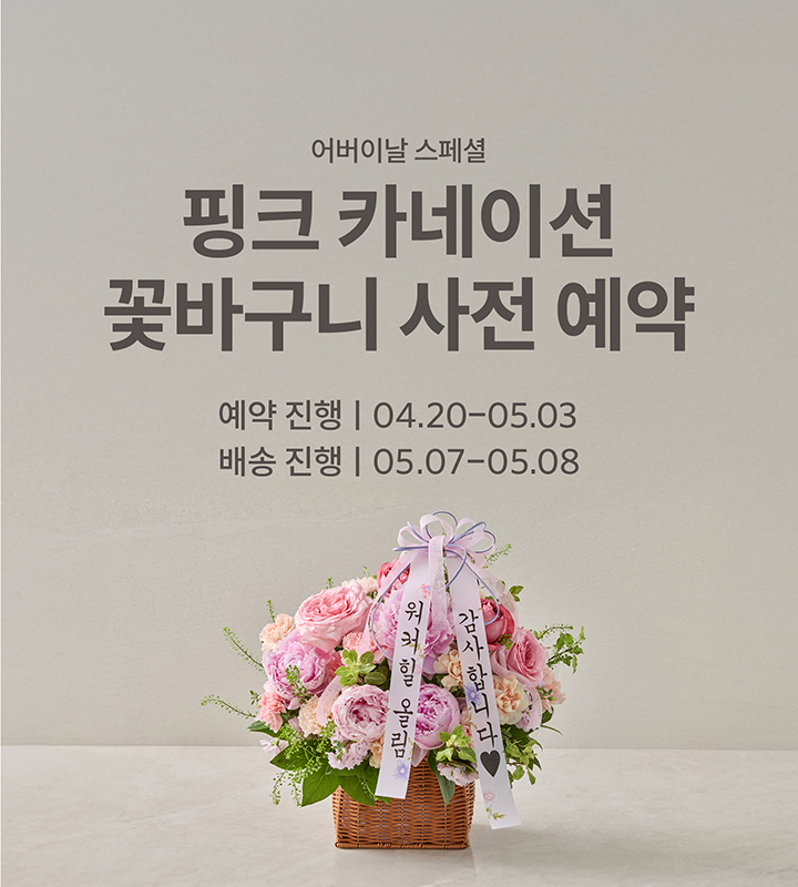 블루밍 카네이션