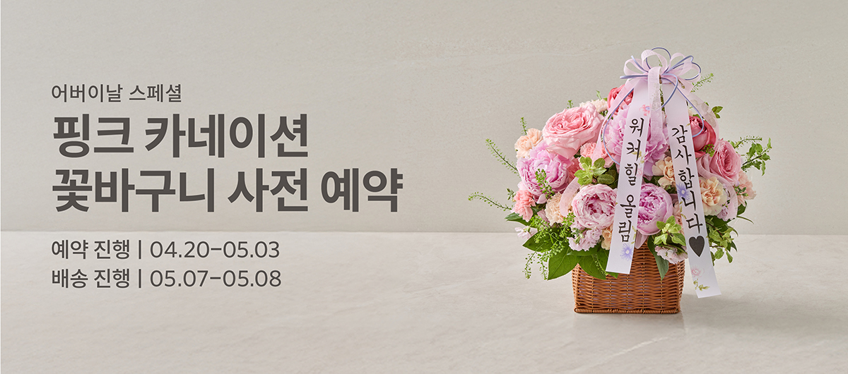 어버이날 카네이션